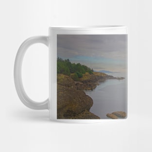 850_2575 Mug